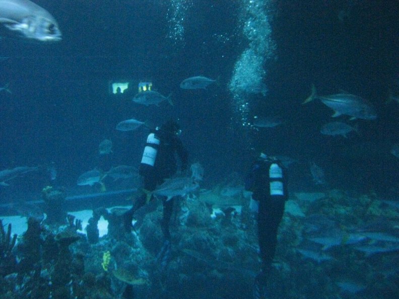 "The Deep" aquarium , in Hull